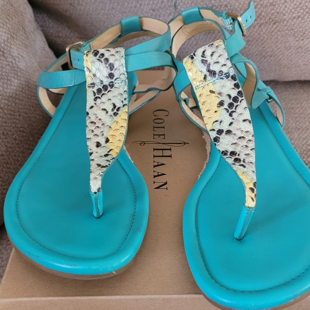 Teal snakeskin thong sandals